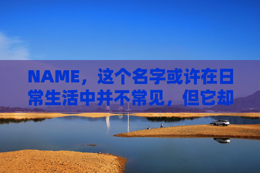 NAME，这个名字或许在日常生活中并不常见，但它却在某些领域里扮演着重要的角色。今天，让我们一起来探索这个名字背后的故事和意义